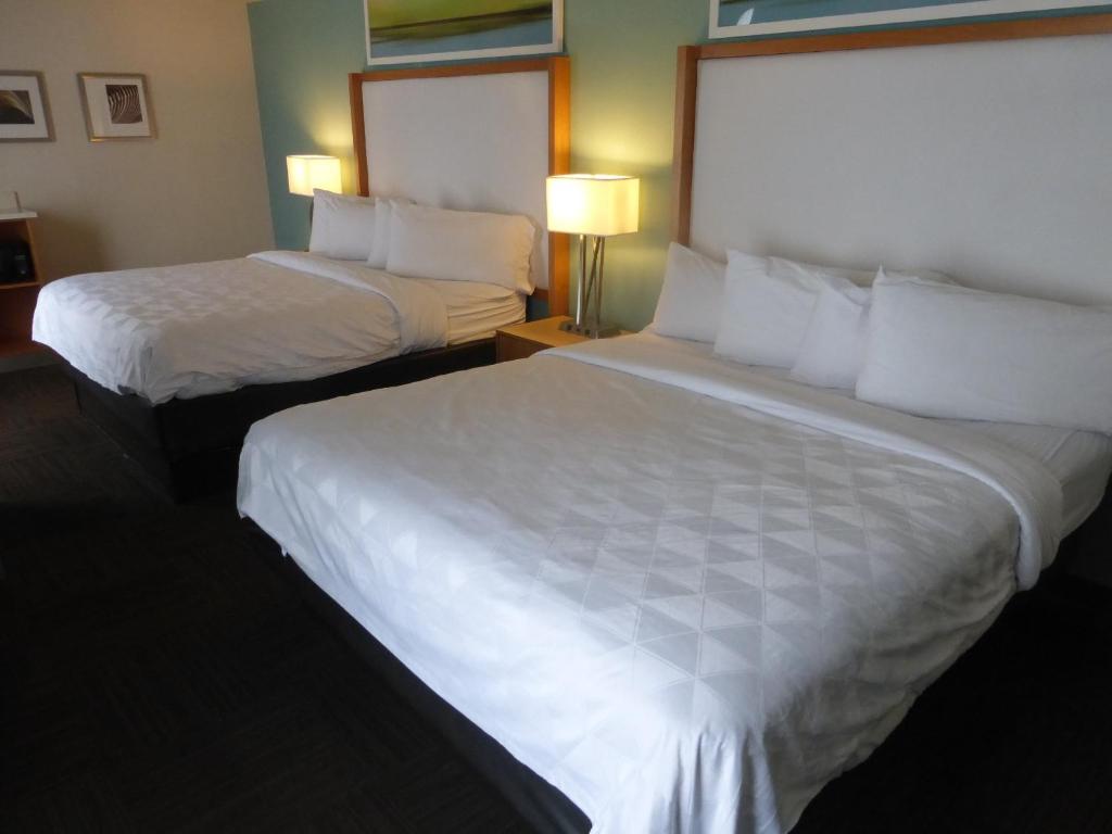 Red Roof Inn PLUS & Suites Tampa - image 6
