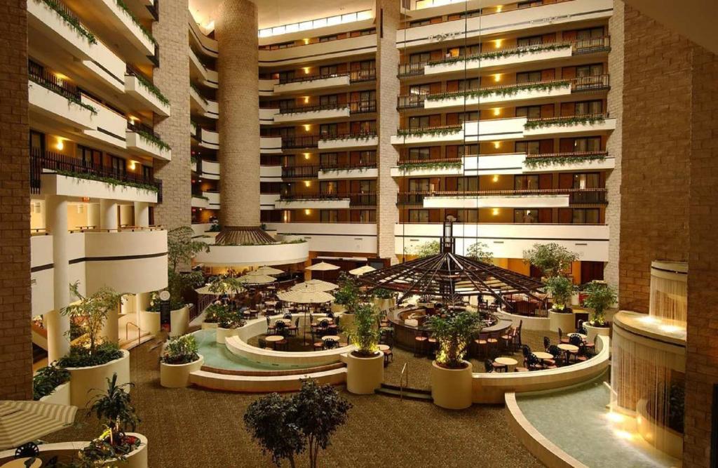 Embassy Suites by Hilton Orlando International Drive ICON Park - image 5