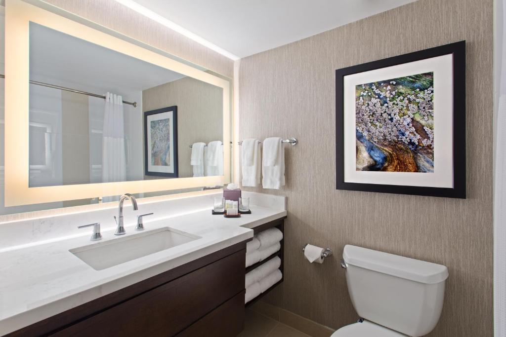 Embassy Suites by Hilton Orlando International Drive Convention Center - image 5