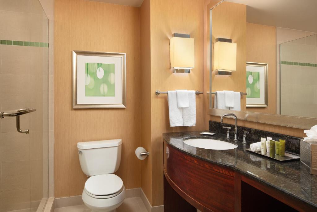 Hilton Orlando - image 4