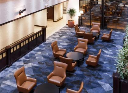 Embassy Suites Tampa - Brandon - image 4