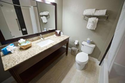 Best Western Airport Inn & Suites - image 2