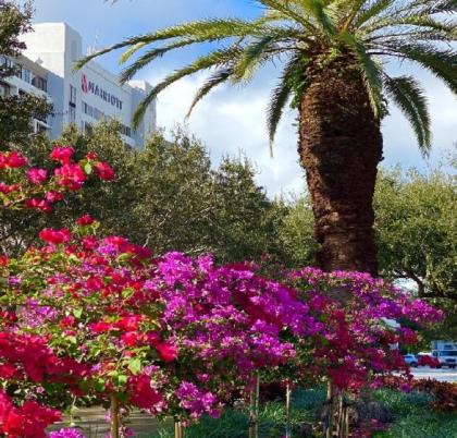 Palm Beach Gardens Marriott - image 1
