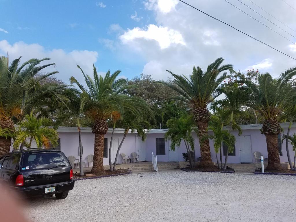 Siesta Motel - main image