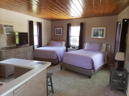 Siesta Motel - image 2