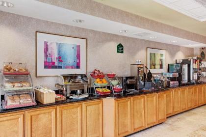 Holiday Inn Tampa North - image 4