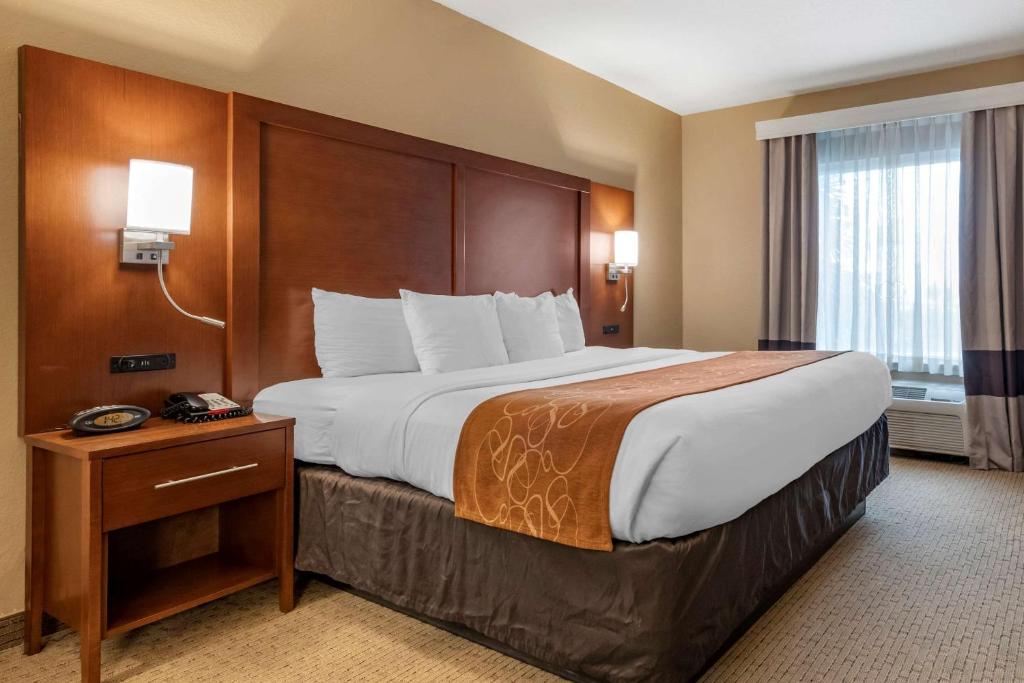 Comfort Suites Orlando Airport - image 4
