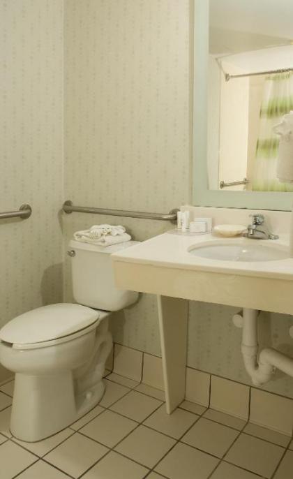 SpringHill Suites by Marriott Orlando Convention Center - image 2