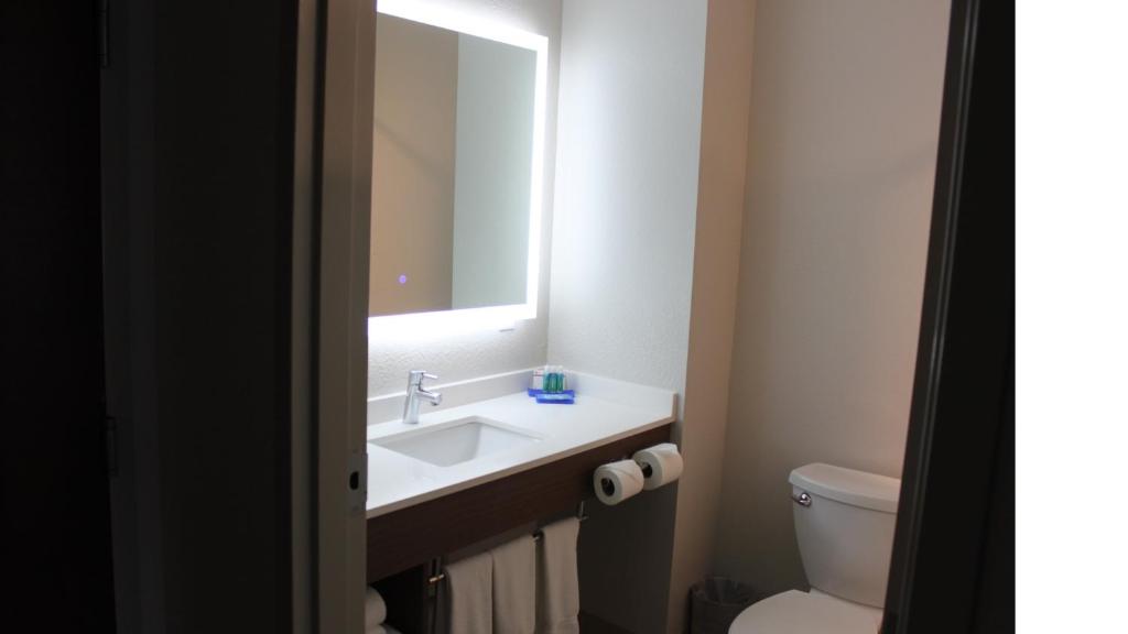 Holiday Inn Express Orlando - South Davenport an IHG Hotel - image 2