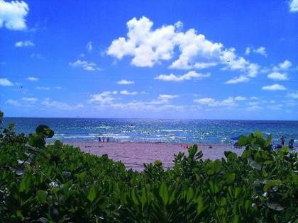Holiday Inn Miami Beach-Oceanfront an IHG Hotel - image 4