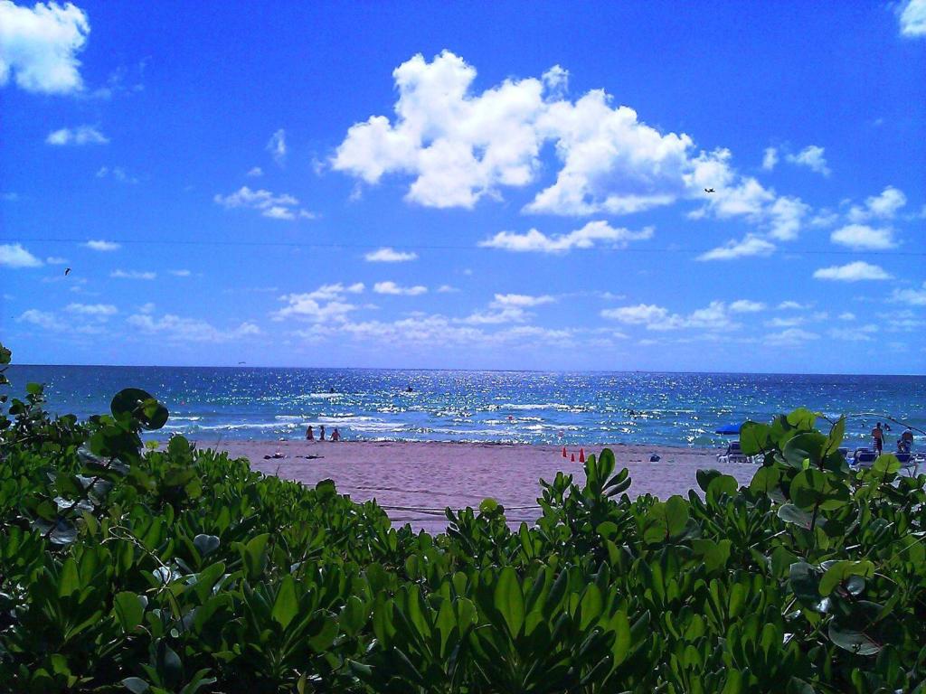Holiday Inn Miami Beach-Oceanfront an IHG Hotel - image 4