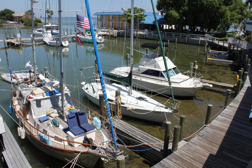 Magnuson Hotel Marina Cove - image 4