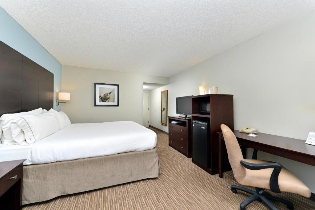 Holiday Inn Express Hotel & Suites Tampa-Rocky Point Island an IHG Hotel - image 2