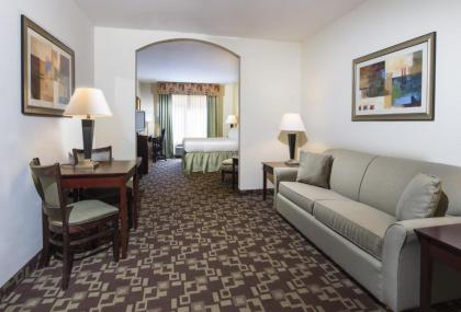 Holiday Inn Express Hotel & Suites Port St. Lucie West an IHG Hotel - image 5