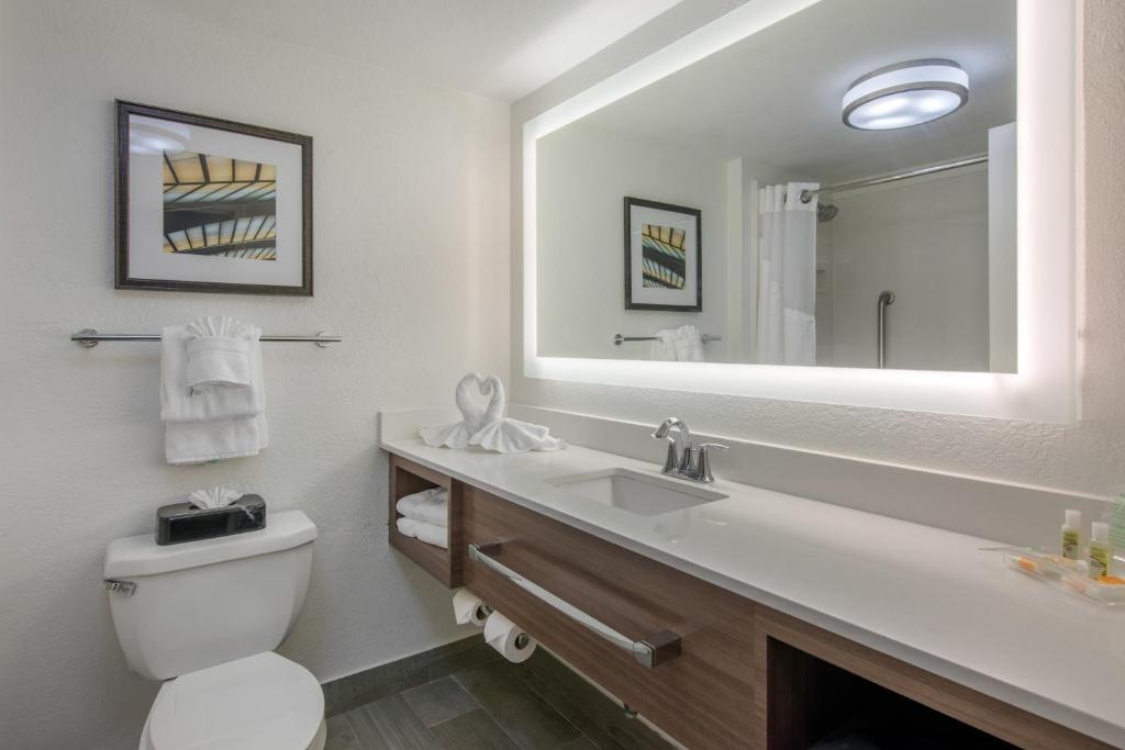 Holiday Inn Melbourne - Viera Conference Center an IHG Hotel - image 5