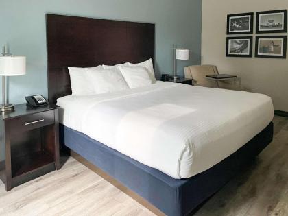 Comfort Inn & Suites Melbourne-Viera - image 5