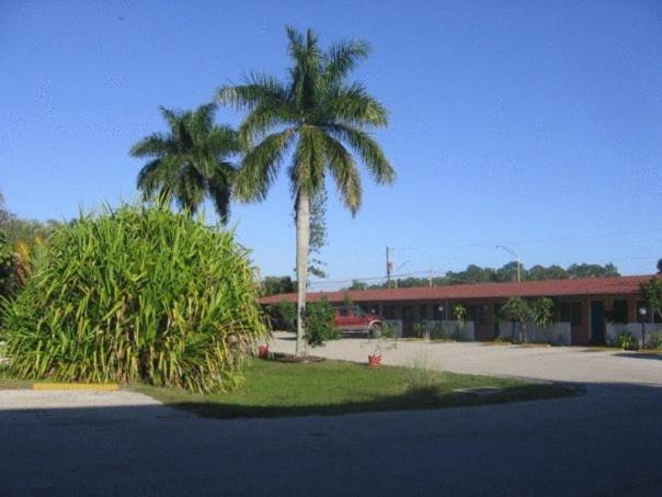 Conty's Motel - image 4