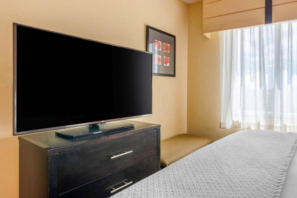 Cambria Hotel Ft Lauderdale Airport South & Cruise Port - image 4