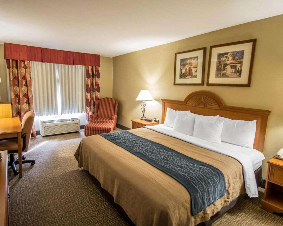 Comfort Inn & Suites Saint Augustine - image 2