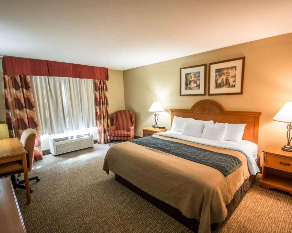 Comfort Inn & Suites Saint Augustine - image 5
