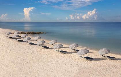Edgewater Beach Hotel - image 2