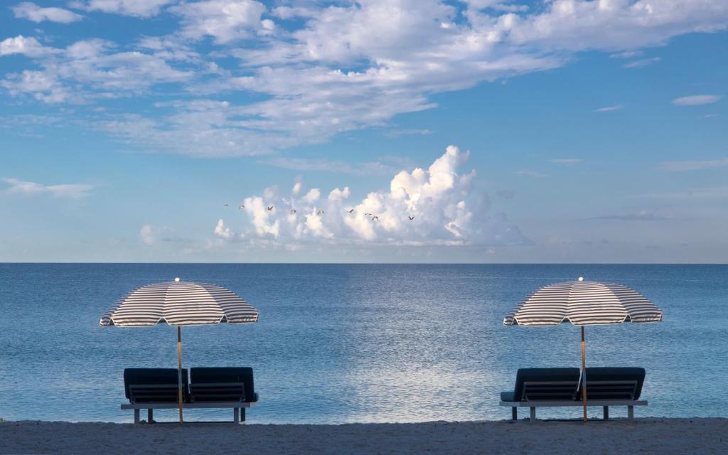 Edgewater Beach Hotel - image 3