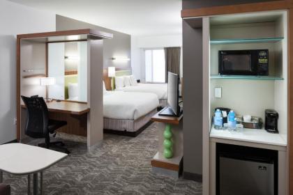 SpringHill Suites by Marriott Orlando at SeaWorld - image 4