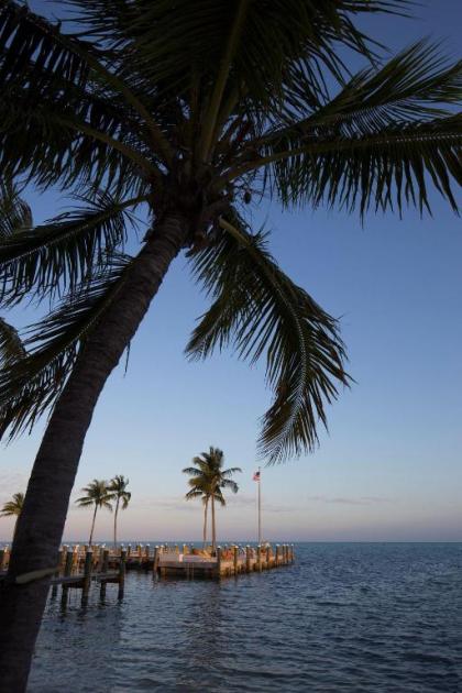 La Siesta Resort & Marina - image 3