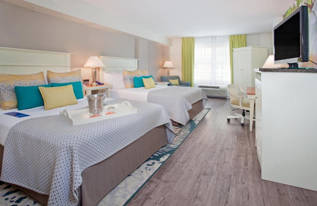 Hotel Indigo - Sarasota an IHG Hotel - image 4