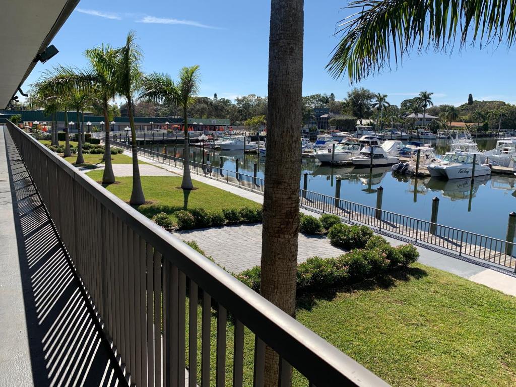 Ramada by Wyndham Sarasota Waterfront - image 5