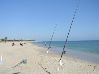 Sea Spray Inn - image 5