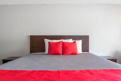 Bayside Inn Pinellas Park - Clearwater - image 5