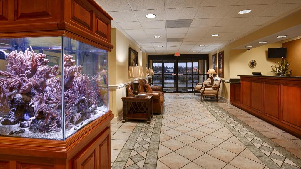 Best Western Plus Madison Inn - image 3