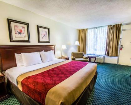 Econo Lodge Port Canaveral Area - image 5