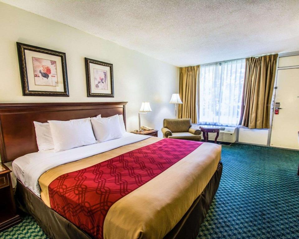 Econo Lodge Port Canaveral Area - image 5