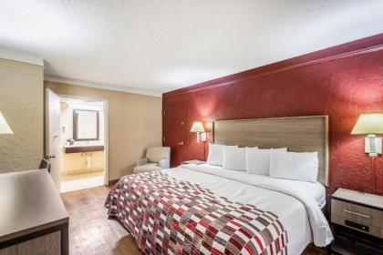 Red Roof Inn Tampa Bay - St. Petersburg - image 3