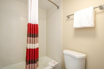 Red Roof Inn Tampa Bay - St. Petersburg - image 4