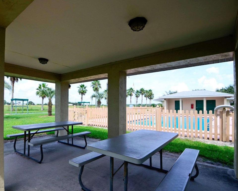 Rodeway Inn & Suites Haines City - image 2