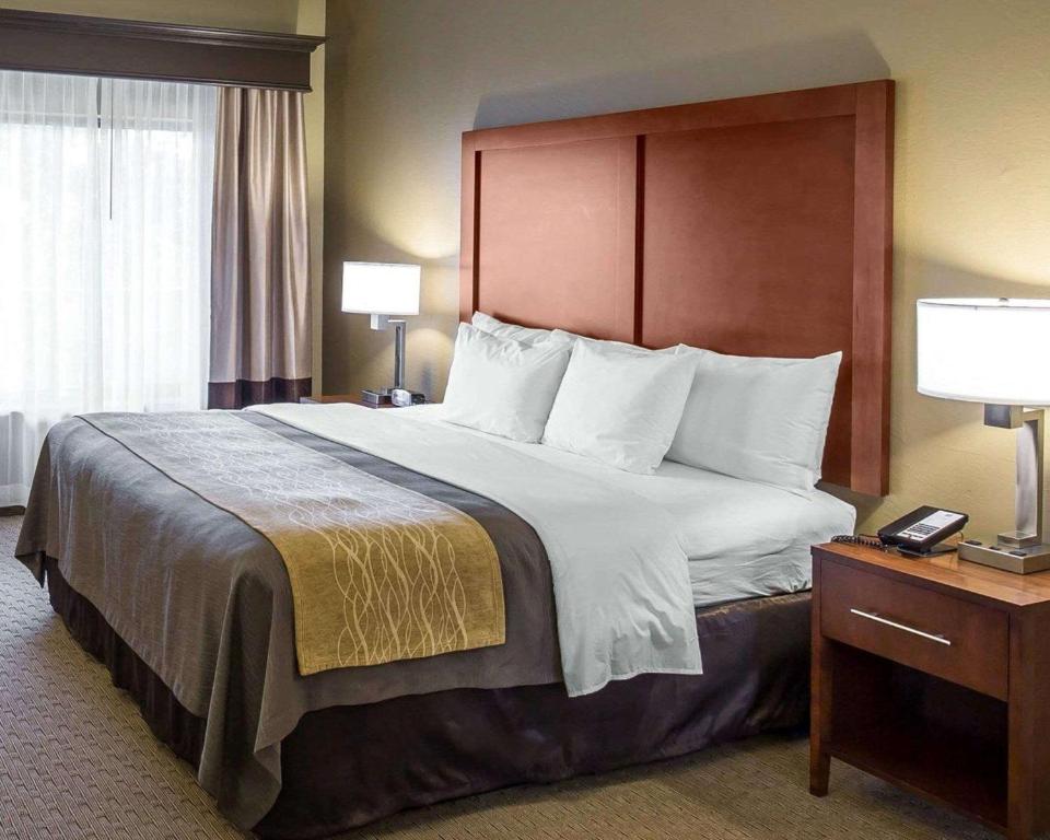 Comfort Inn & Executive Suites Naples - image 3