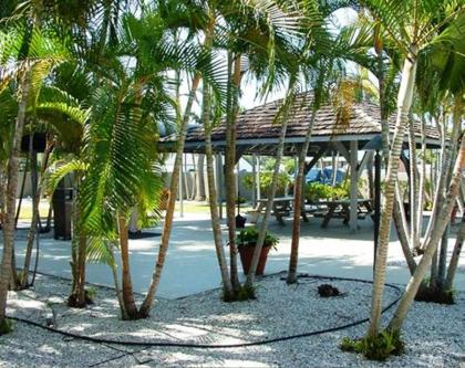 Lantern Inn & Suites - Sarasota - image 4