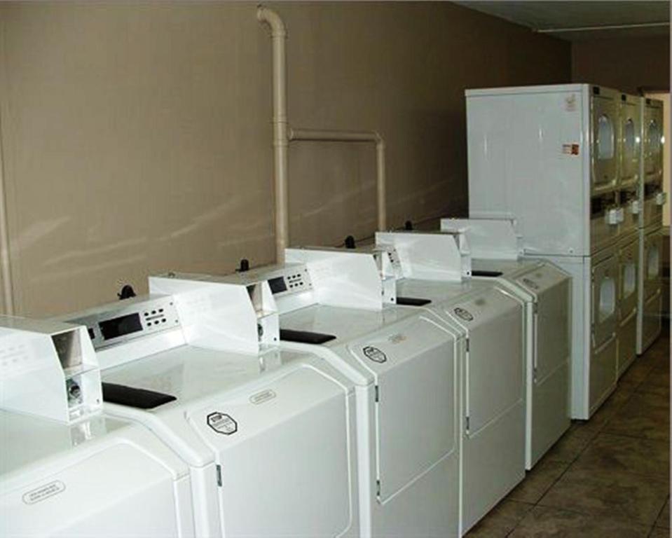 Lantern Inn & Suites - Sarasota - image 5
