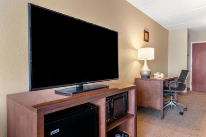 Comfort Inn & Suites Orlando North - image 2