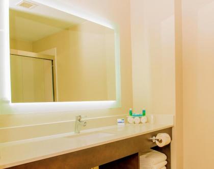 Holiday Inn Express St. Petersburg North / I-275 an IHG Hotel - image 2