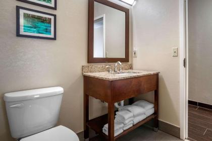 Comfort Suites Tallahassee Downtown - image 3