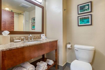 Comfort Suites Tallahassee Downtown - image 5