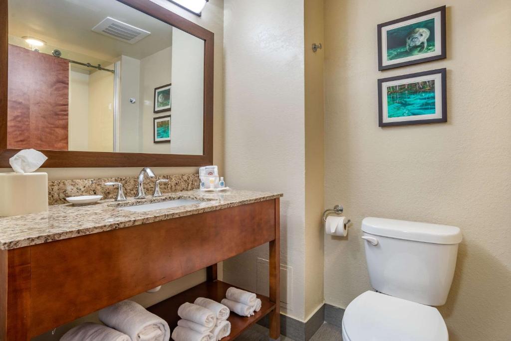 Comfort Suites Tallahassee Downtown - image 5