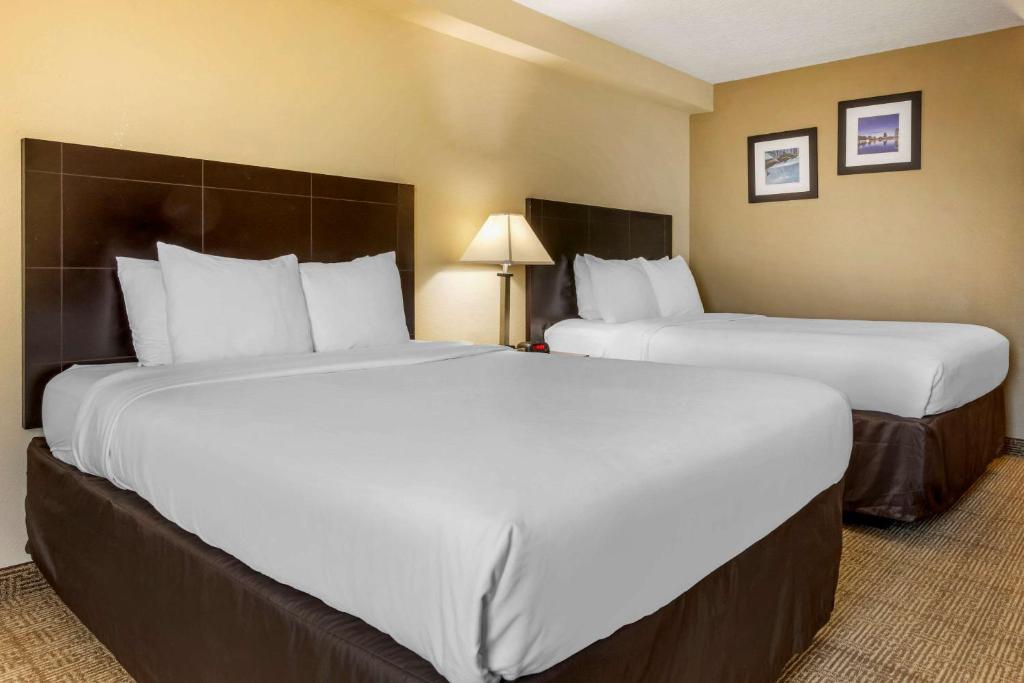Comfort Inn International Drive - image 2