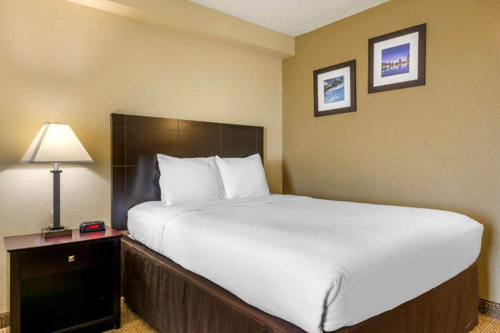 Comfort Inn International Drive - image 4