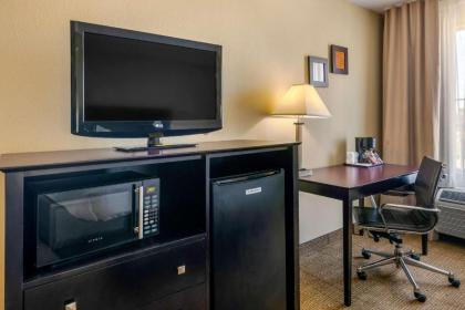 Comfort Inn International Drive - image 5