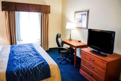 Comfort Inn & Suites Chipley I-10 - image 5